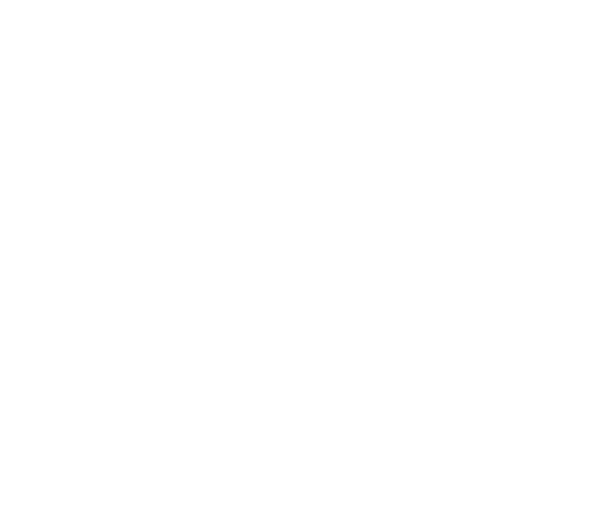 שנהב חן — חברה ליזמות פיקוח והשקעות בבניה